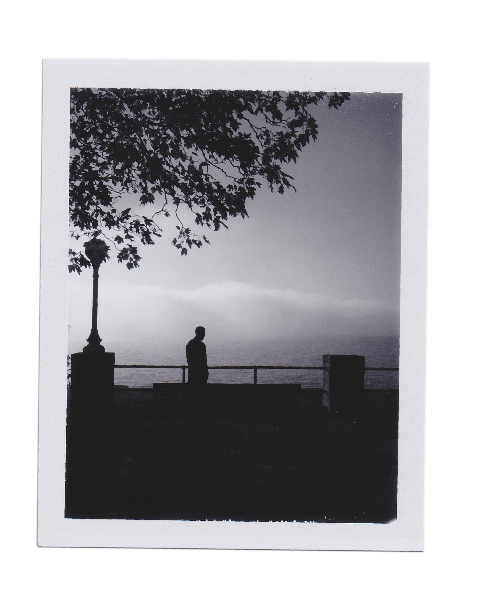 Photograph by Nelson Mouëllic — Summer polaroids on FP-3000B - June 24, 2026