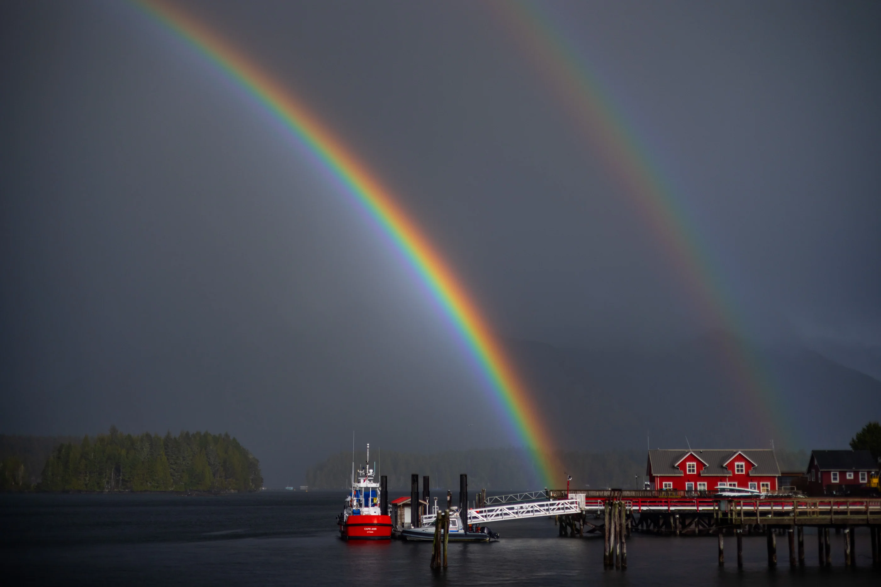 Photograph by Nelson Mouëllic — Archive Finds - April 8th, 2026